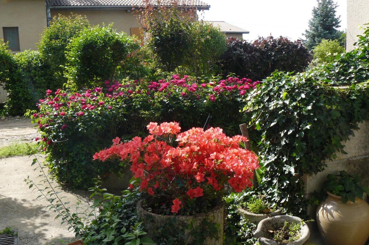 Au The A La Menthe Bed & Breakfast Romans-sur-Isere Exterior photo